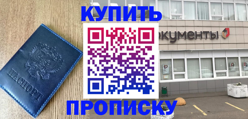 временная регистрация поиск в Змеиногорске